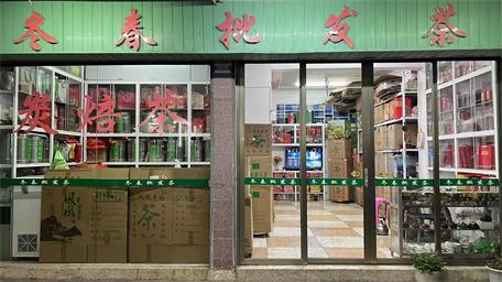 冬春批發(fā)茶
