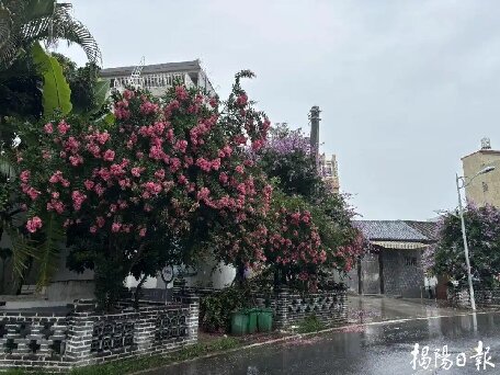 揭陽各鎮街多舉措齊發力，擦亮城市文明底色